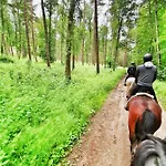 Bursztynowa Osada Lodge *
