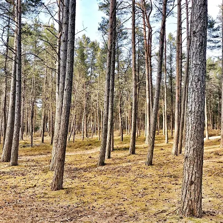 Bursztynowa Osada Деревянный коттедж Копалино