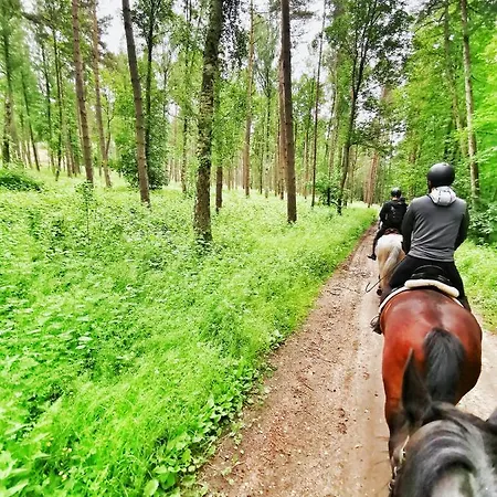 Bursztynowa Osada Alojamento de Turismo Selvagem *