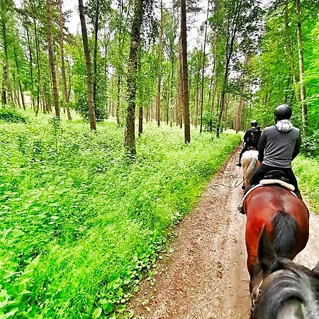 Bursztynowa Osada Alojamento de Turismo Selvagem
