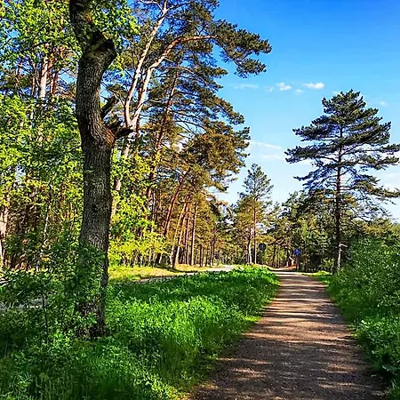 Bursztynowa Osada * Kopalino