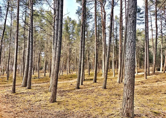 Bursztynowa Osada Jaktstuga Kopalino