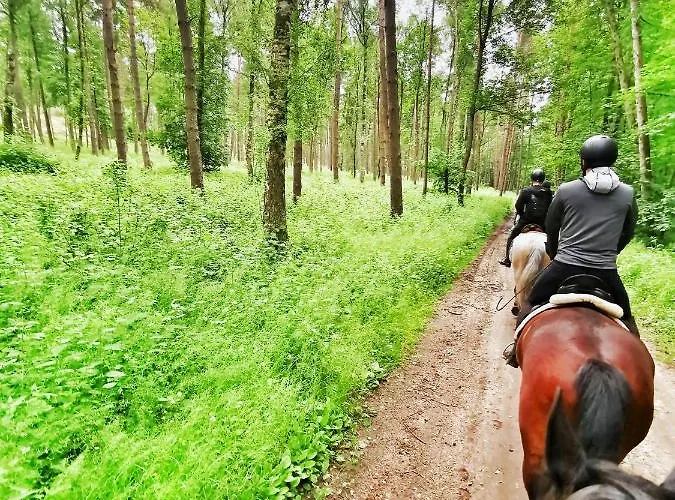 Bursztynowa Osada Jaktstuga *
