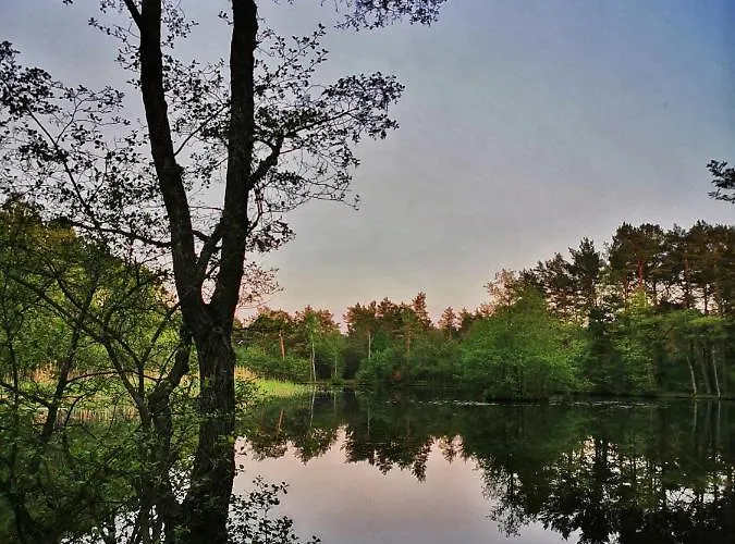 Lodge Bursztynowa Osada Kopalino