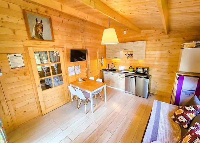 Bursztynowa Osada * Kopalino