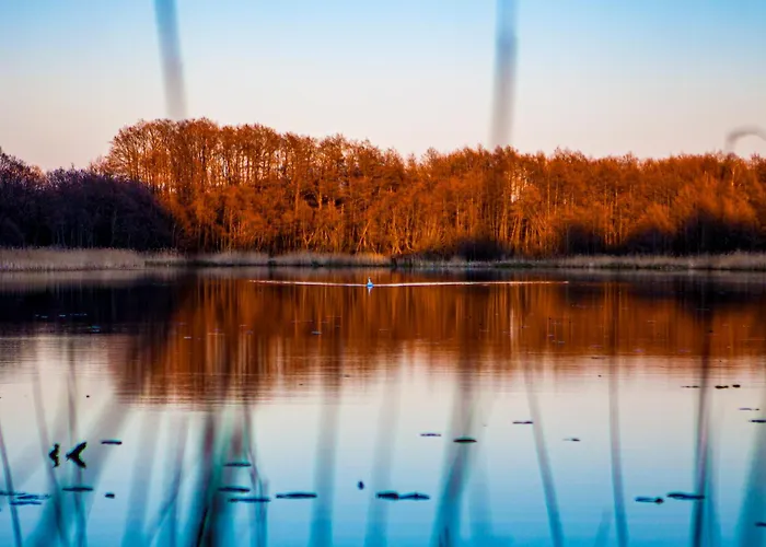 Lodge Bursztynowa Osada