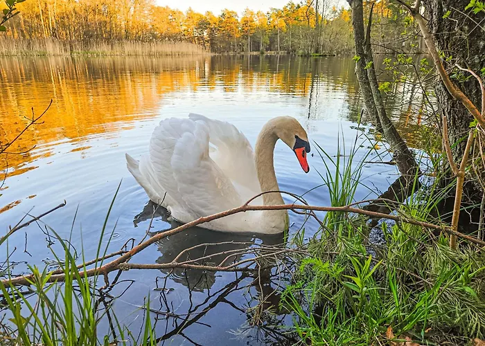 Bursztynowa Osada Jaktstuga